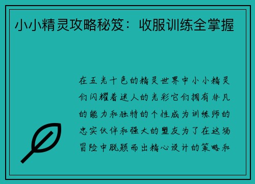 小小精灵攻略秘笈：收服训练全掌握
